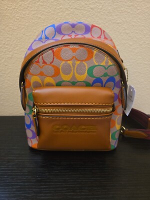 Coach Charter Backpack 18 In Rainbow Signature Canvas | eBay display picture 3
