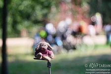 Carl Zeiss TRIPLET 100/2.8 red T converted to M42 + focusing | SAMPLES, Trioplan