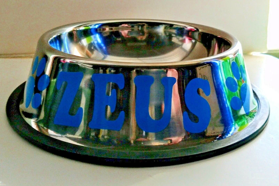 PERSONALIZADO 24 OZ (1 1/2 pinta) ACERO INOXIDABLE antideslizante ¡TAZÓN PARA PERROS!!   Foto 4 de 4