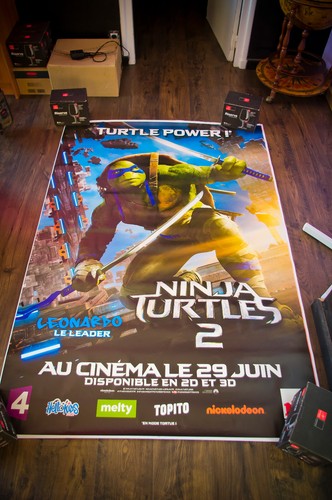 TMNT NINJA TURTLES 2 B French Shelter Rolled D/S Movie Poster Original 2016