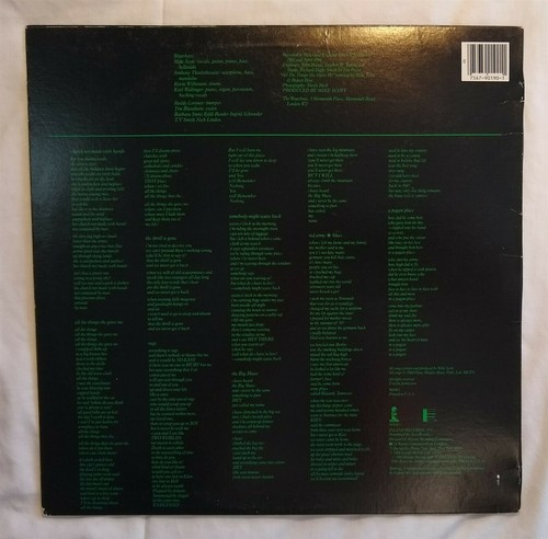 CRANIUM'S The Waterboys A PAGAN PLACE orig Lp Karl Wallinger - Picture 2 of 6