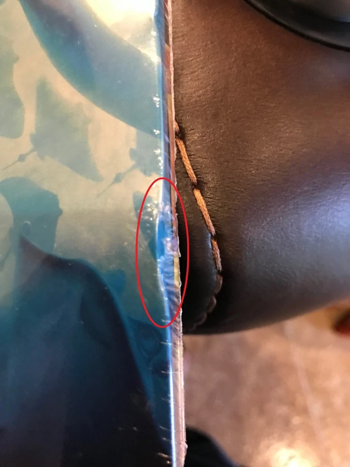 Finding Dory Limited Edition SteelBook w/Slip (Region A, B & C UK Import) - READ - Image 4 of 4