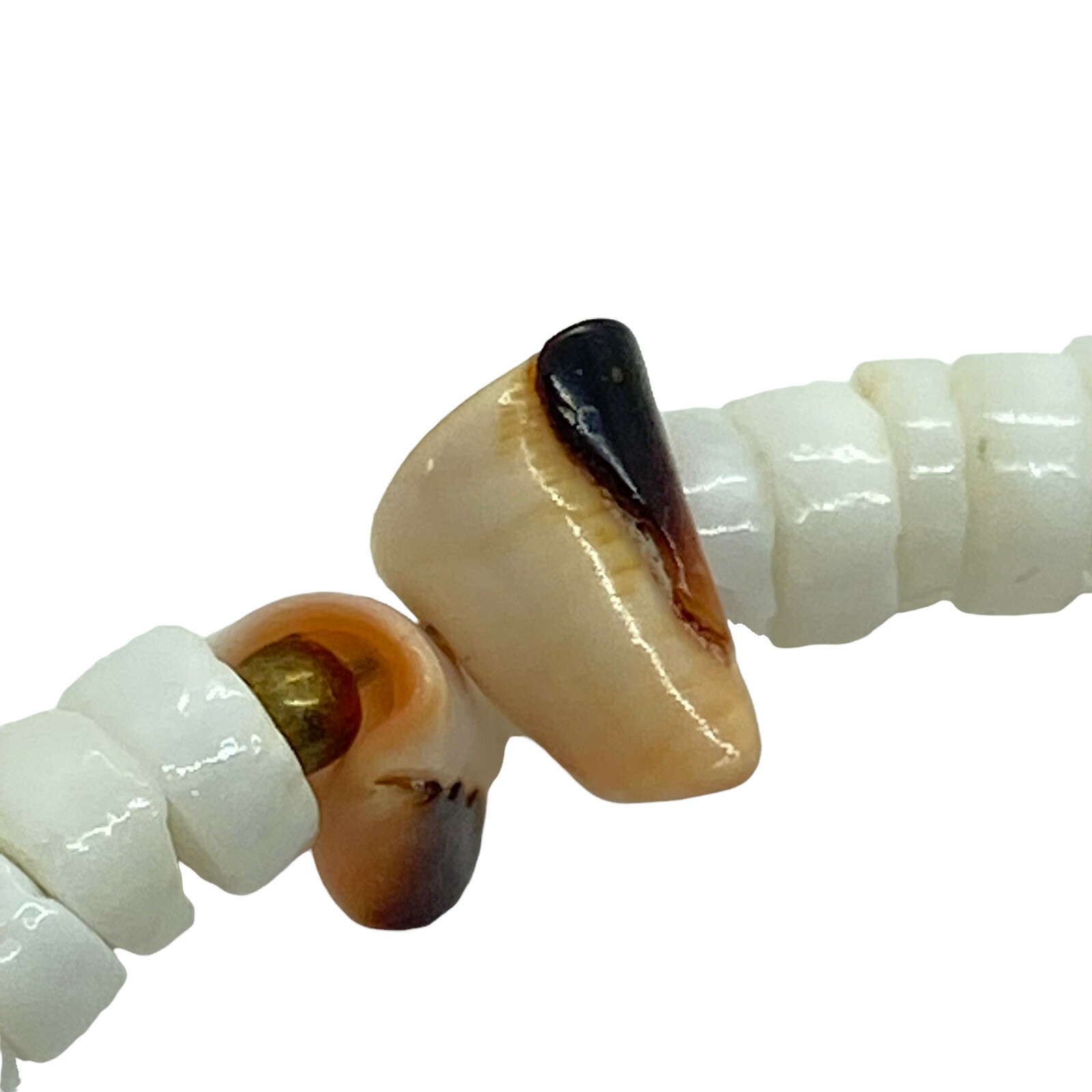 Choker Necklace Sea Shell Surfer Vintage Womens W… - image 2