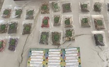 Dried Flowers Lot Of 25 Various Leaves Petals Seeds