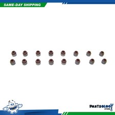 Dnj Vss949 Valve Stem Seals For 00-19 Scion Toyota 1.5l Dohc
