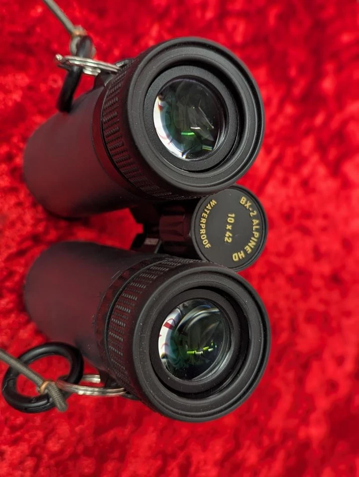 LEUPOLD BX-2 ALPINE HD 10X42 WATERPROOF BINOCULARS (PRE-OWNED) GREAT (THU010372) - Image 3 of 4