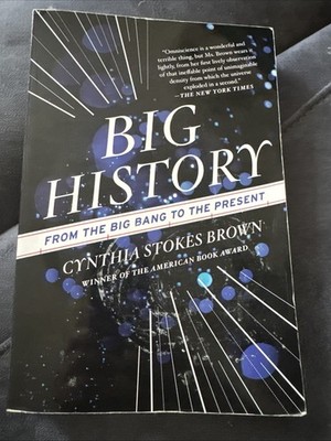 Big History: From the Big Bang to the Present by Cynthia Stokes Brown