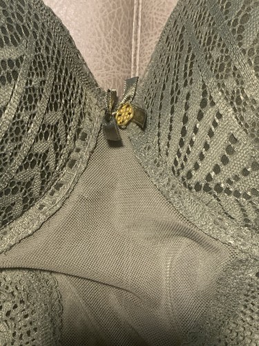 Daisy Fuentes Intimates Push Up Olive Lace & Mesh Teddy NEW 1 Pc Size Medium - Picture 4 of 10
