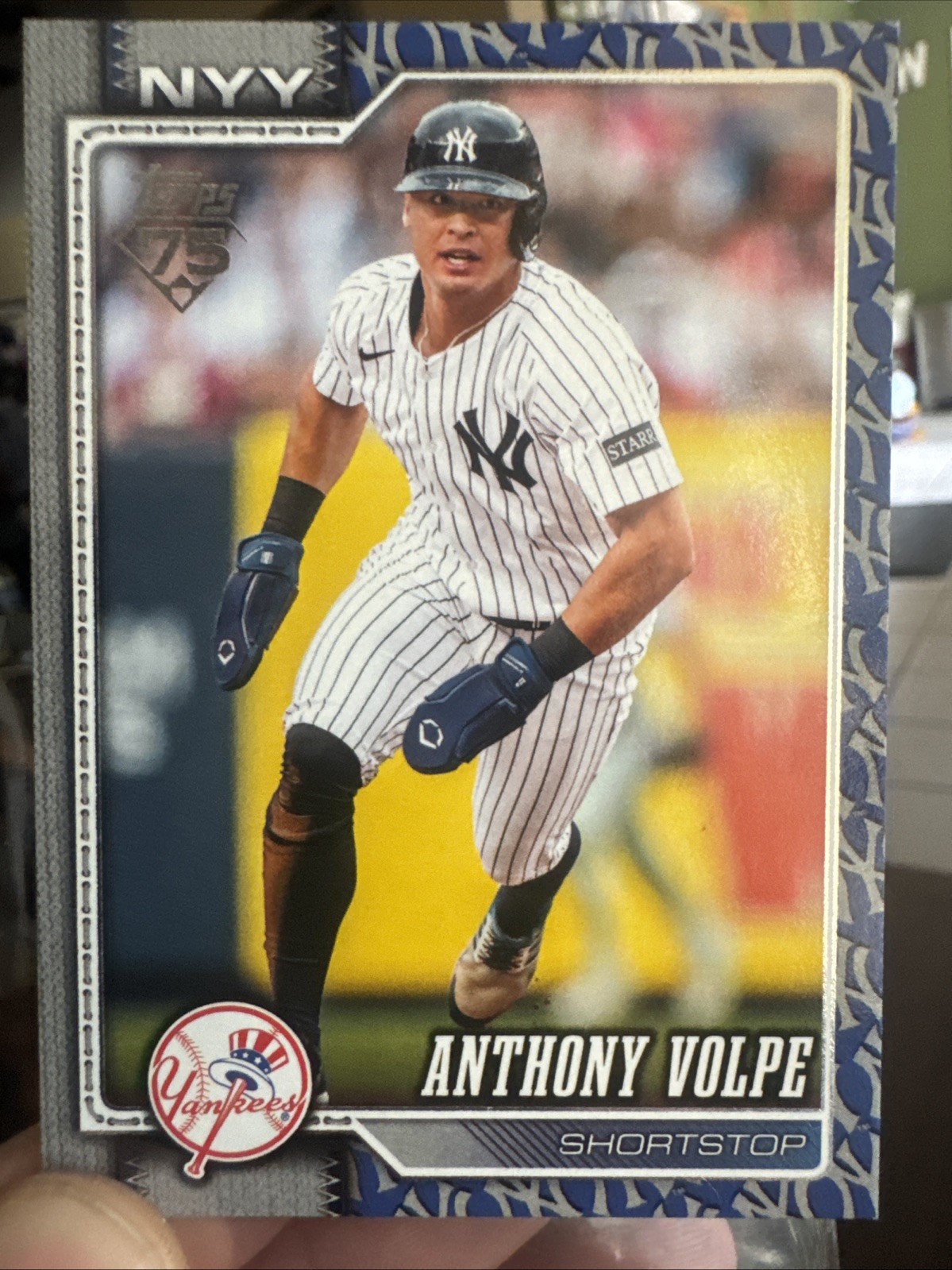 2026 Topps Series 1 - Anthony Volpe #308 Team Color Border