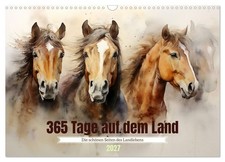 Calendar 2027  US Version  365 days in the country Wall Calendar 2027 17"  1