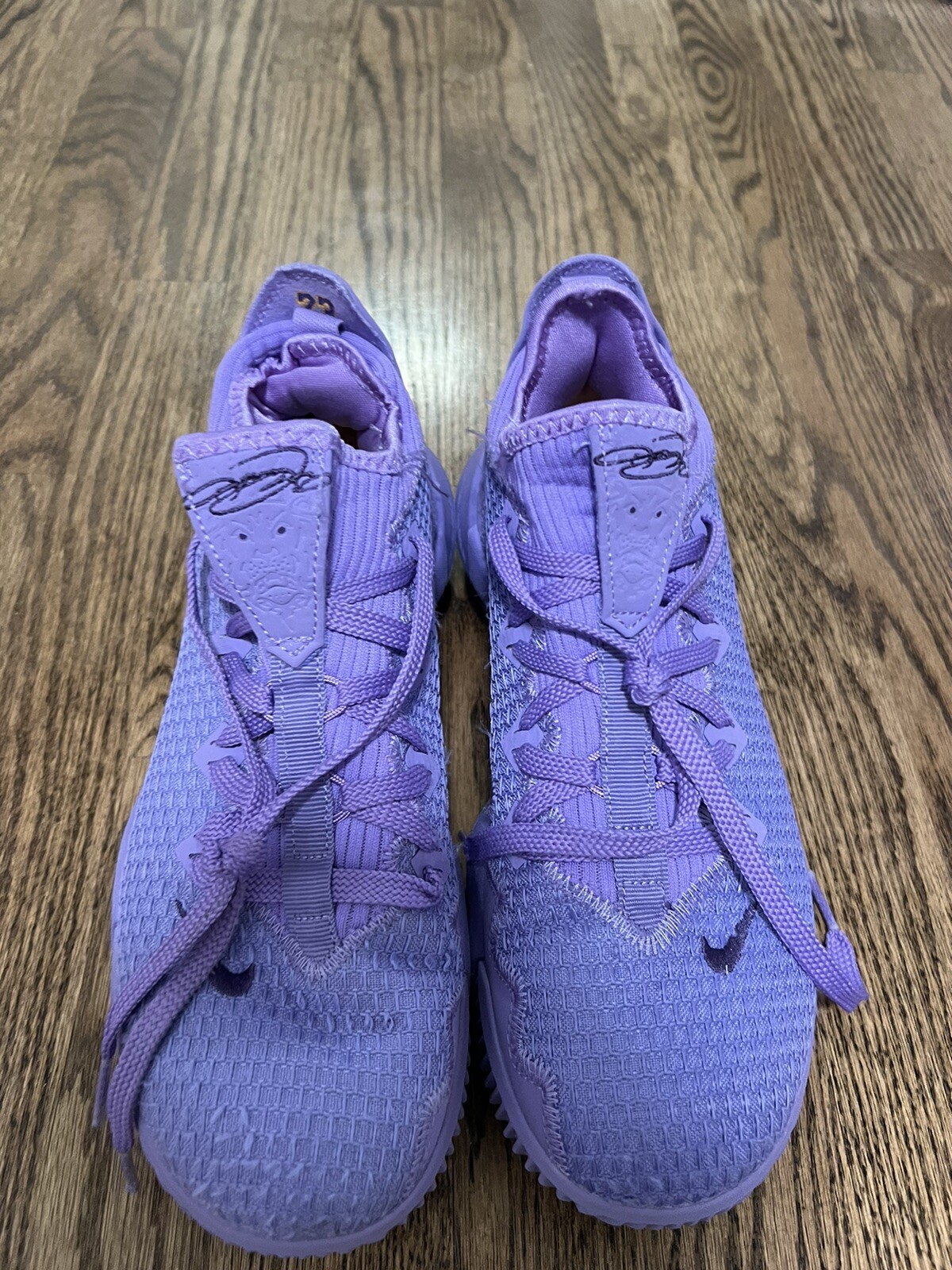 lebron low purple