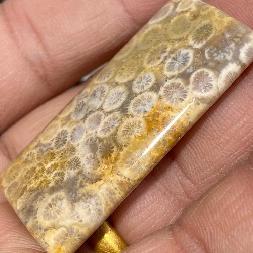 21g Incredibile Ciondolo Cristallo Naturale 21g Fiori di Corallo Corallite Diaspro - Foto 4 di 10