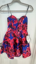 Floral Fit and Flare Dress
