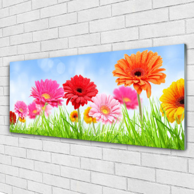 Tableau Image Impression sous verre 140x70 Floral Marguerite Herbe