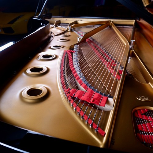 Steinway & Sons Model D (2003) Concert Grand Piano in Black Polyester | RARE - Picture 11 of 21
