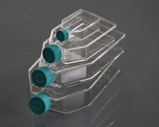 NEST 225cm2 Cell Culture Flask (Sterile, Vent Cap, TC, 25/cs)