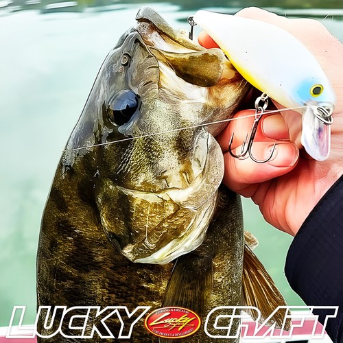 Puntero LUCKY CRAFT 128 - 535 MS sábalo de agua transparente (1 cantidad) Jerkbait de alta calidad - Imagen 7 de 8