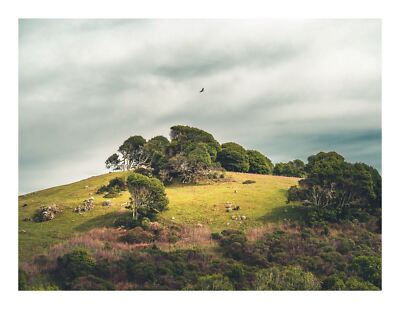 Nature Print, Green Hills, Wall Art