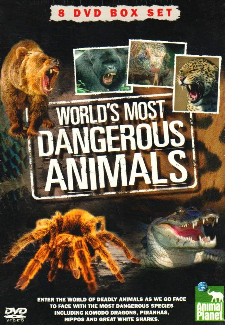 Worlds Most Dangerous Animals (Box Set) (DVD, 2007) for sale