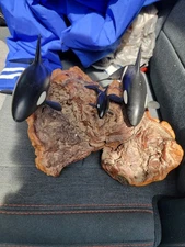 John Perry Orca Killer Whale Family Sculpture on Burl Driftwood 