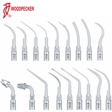 Woodpecker Dental Piezo Ultrasonic Scaler Endo Perio Tips Fit EMS Handpiece