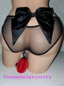 VICTORIA'S SECRET DREAM ANGELS  SATIN  Bow Back Mesh Cheekini Panty