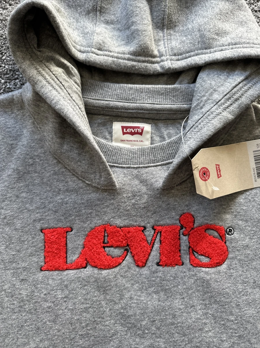 Levi's pullover hoodie sale