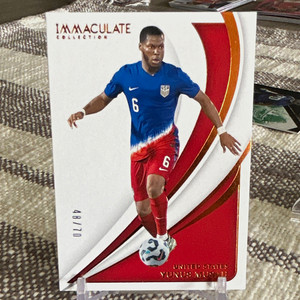 Immaculate Soccer Panini | eBay