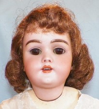 Heinrich Handwerck Bisque Doll Composition Body 20in. New Wig Antique A Beauty