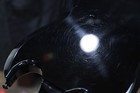 Bild 22 von 24