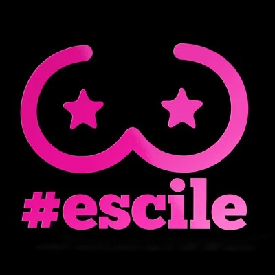 Sticker ESCILE Adesivo Decal Laptop Auto Moto Casco JDM DUB Fresh Illest VW Bomb