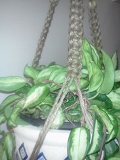 TMP 003 Macrame plant hanger brown made of Jute cords. with Tin wooden beads .