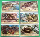 LIEBIG - S1482  F1482 - REPTILES - SET OF 6 - 1949 - DUTCH
