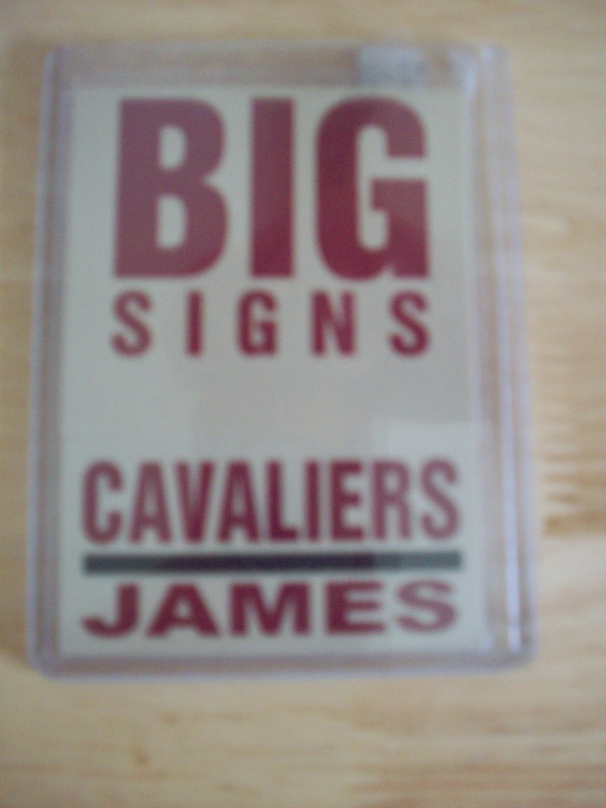 LeBron James #7 BS Cleveland Cavaliers 2003-04 Fleer Platinum Big Signs