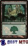 Magic The Gathering MTG Forest (2005) 305 Foil NM Magic Premiere Shop 2005