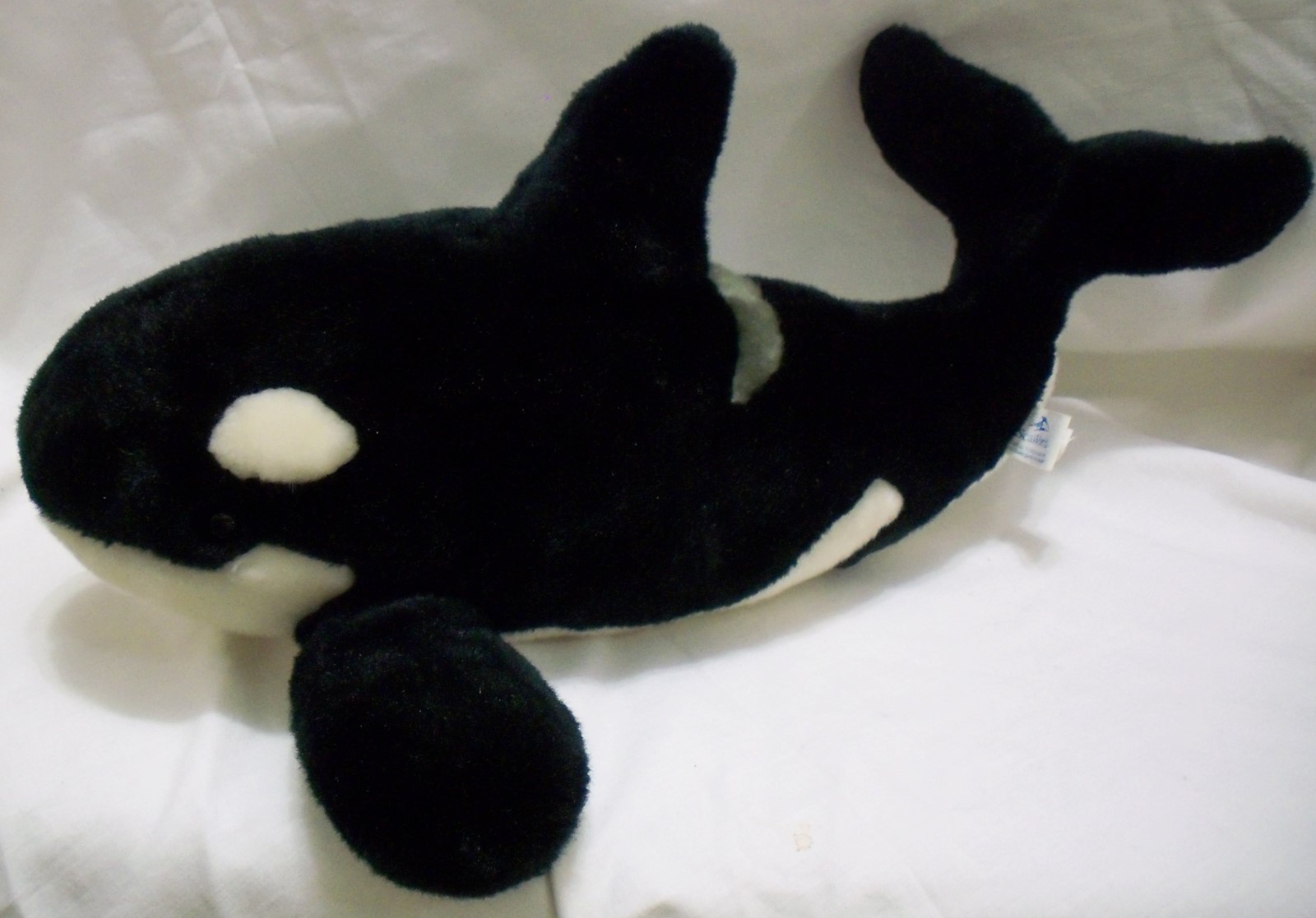 shamu plush toy