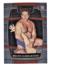 BRUNO SAMMARTINO    * 2022 WWE Panini Select *  CONCOURSE Base Card  #95