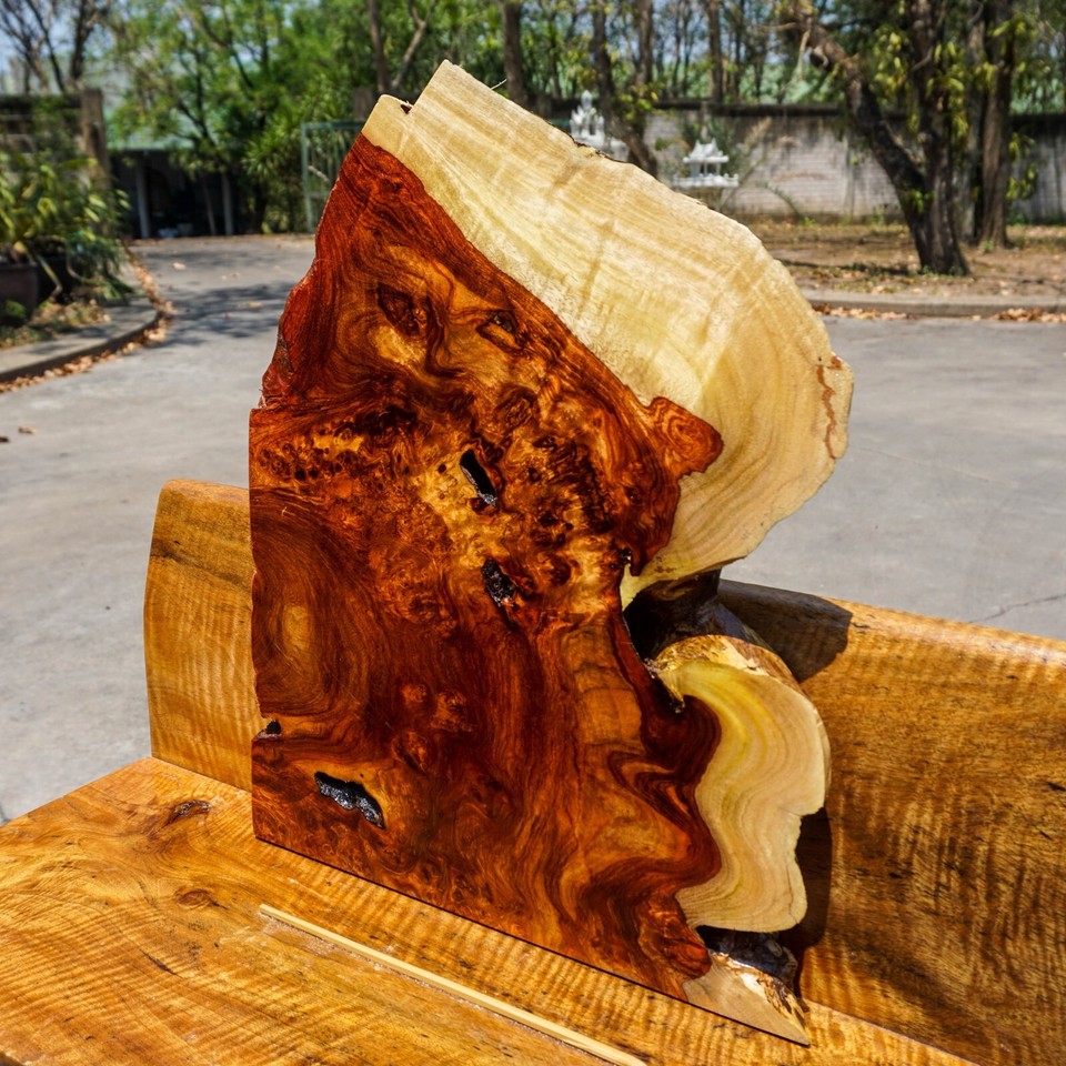 Rare! AMBOYNA BURL LUMBER Live Edge Natural Slab Wood Epoxy Resin DIY