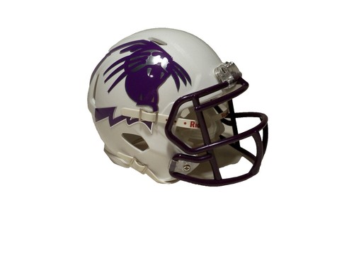 current arena football league mini football helmets Riddell 2024 NFL Munich Game Speed Mini Helmet