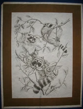 * TRI CHEM 8071 B RACCOONS IN A TREE BRANCH Liquid Embroidery Picture 1824