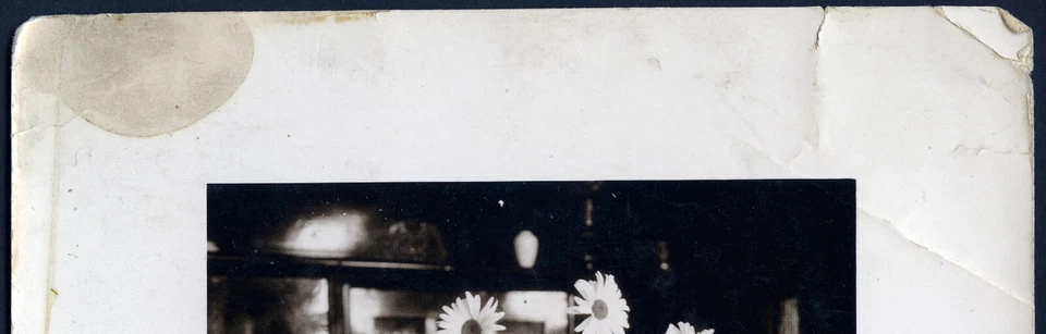 Fotografía vintage de bellas artes de mayor tamaño, bodegón con flores, años 20 Foto 4 de 4