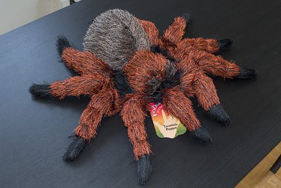 Folkmanis Large Tarantula 18\