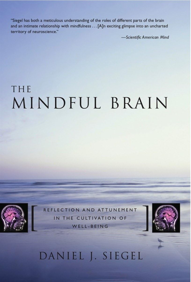 The Mindful Brain in Human Development – Reflection and Attunement in the - Image 4