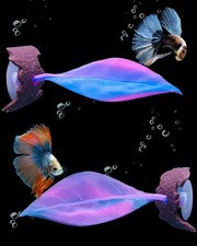 Uniclife Betta Leaf Hammock Soft Aquarium Rest Bed Fish Hammock, Pink