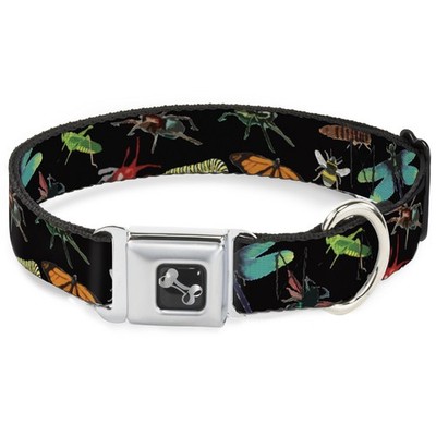 Dog Collar Bone Insects Scattered C/U Black WIDE-Large 20-31'' (US IMPORT)