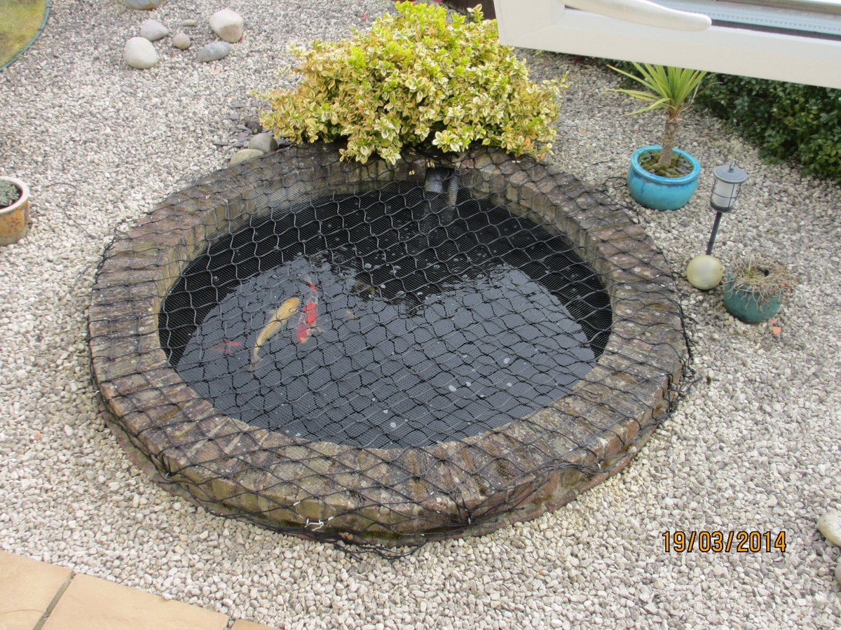 Fish Pond Safety Covers