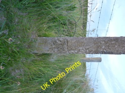 Photo 6x4 OS benchmark - Dumbarnie Links Drumeldrie An OS cutmark in a co c2015
