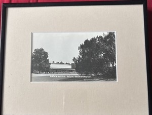 Vintage Whitestone Photo Greeting From Tangle wood Framed Print