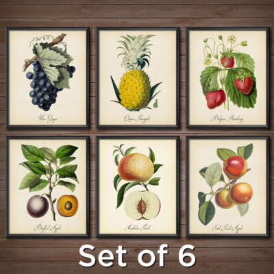 Kitchen Fruit SET of 6 Print Poster Pineapple Pear Peach Plum Wall Decor 2426