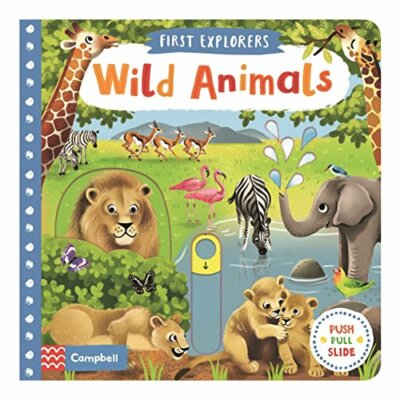 Wild Animals (First Explorers) by Wren  New 9781509855124 Fast Free Ship=#